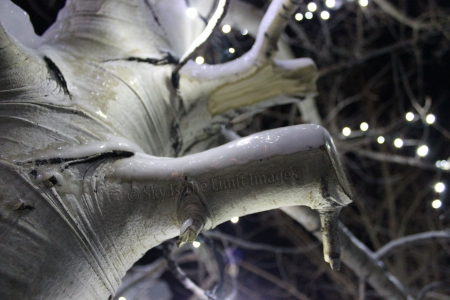 Ice Castle Tree 2 - ice, ice castle, gorgeous, tree, breckenridge colorado, lights, lindsey stirling