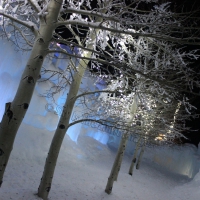 Ice Castle Trees