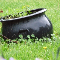 wet black kettle in grass with flowers