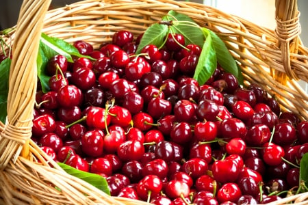 â™¥Cherryâ™¥ - fresh, basket, cherry, berries