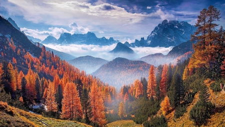 Autumn Forest At The Alps, Italy - sky, autumn, trees, mist, forest, snow, beautiful, clouds, grass, dolomites mountains