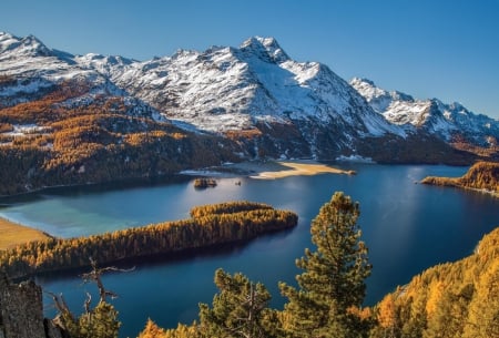 Lake Sils, Engadine Valley - trees, yellow, Swiss Alps, blue, beautiful, snowy peaks, forest, white, autumn, green, lake, mountains