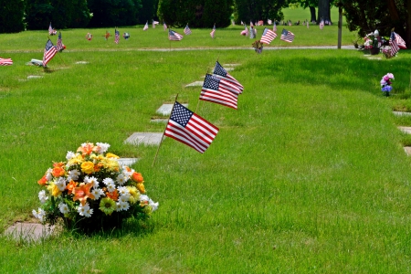 Stand And Salute - flag and flowers, american flag, stand and salute, salute, memorial day