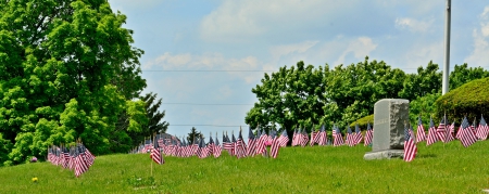 Patriot Row - patriotism, american, american flag, patriot, patriot row