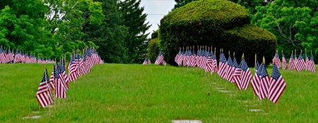 Memorial Day - patriot, Memorial Day, flags, patriotism, american flags, us soldiers