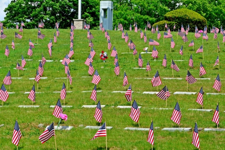 Patriot Hill - Patriot Hill, patriot, american flags, patriotism