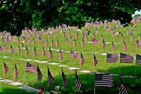 Red White And Blue - patriot, Red White And Blue, patriotism, stars and stripes, old glory