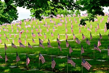 The Stars and Stripes - patriot, red white and blue, patriotism, The Stars and Stripes