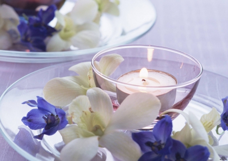 Candle and Flowers