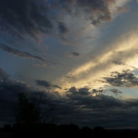 Clouds and Trees