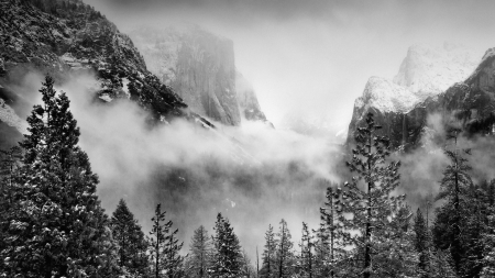 winter in yosemite park in grayscale - clouds, winter, nature, cliffs, forest, mountains, grayscale