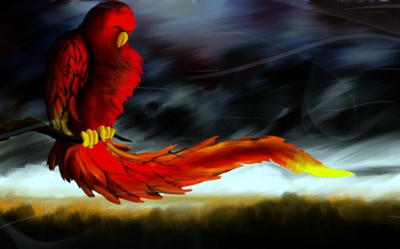 Flaming Parrot Artwork - red, artwork, fantasy, parrot