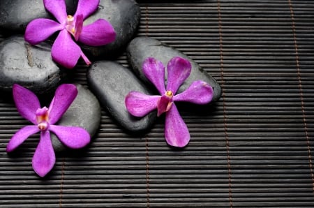 â™¥Spa Flowersâ™¥ - purple, stones, flowers, spa, black, zen