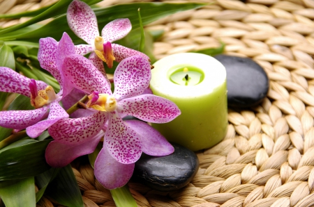 ♥Relaxing Spa♥ - flowers, spa, zen, candle, stones