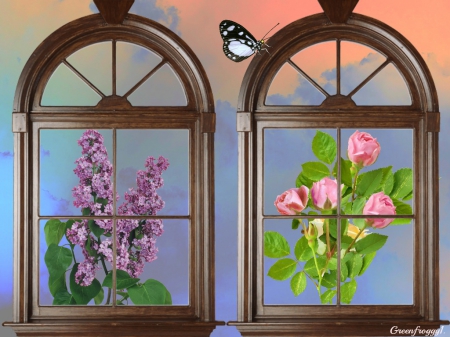 WINDOW FRAMES - frames, creation, flowers, window