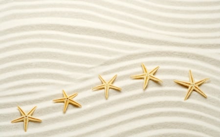 Starfish - starfish, nice, sands, nature