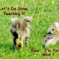 I Can Twerk!