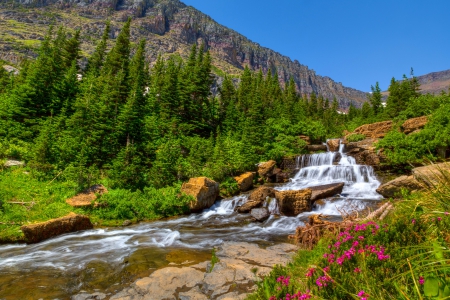 Glacier-Lunch Creek - slope, trees, national park, cascade, greenery, stream, waterfall, rocks, creek, grass, lunch, landscape, mountain, summer, plants, lovely, nature, forest, beautiful