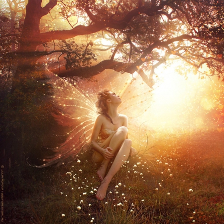 Dream believer - magic, manipulation, forest, light, golden, enchanted, art, sun, abstract, enchant, digital art, gold, elf, fantasy, wings, fairy, butterfly, wallpaper