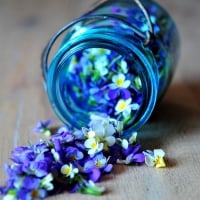 Petals-Jars-Purple