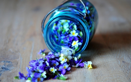 Petals-Jars-Purple - petals jars, petals, purple, jar