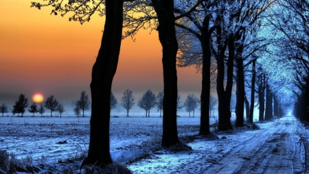 Sunset pathway - road, pathway, trees, sunset, sunrise, blue, snow