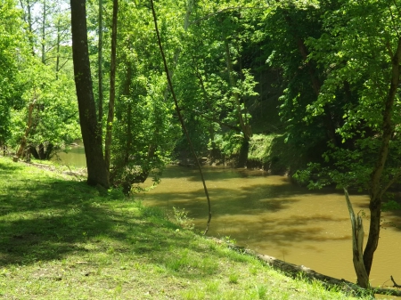 Old Man River - lush, trees, river, green, grass