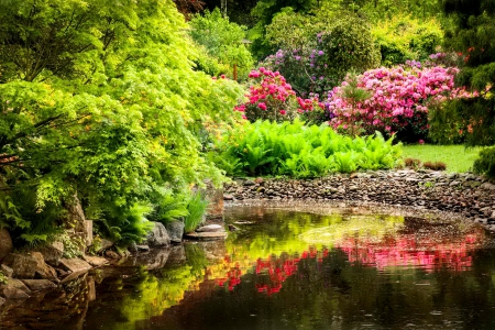 Beautiful park - greenery, pretty, trees, summer, pond, beautiful, forest, lovely, reflection, flowers, garden, lake, park