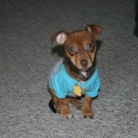 Oliver James cute in blue