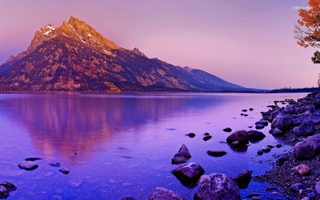 Lake reflecting purple