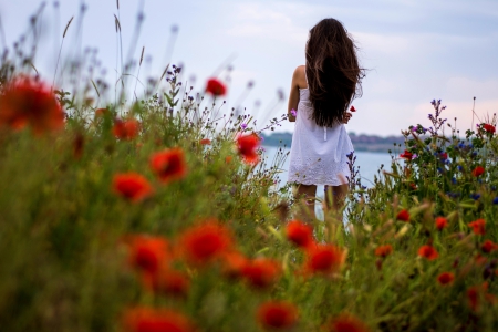 Poppies Field ♥ - mood, poppy, poppies, beautiful, girl, beauty, flowers, red, woman, field, lake, brunette