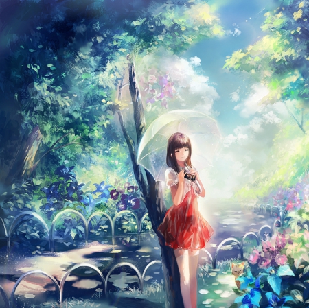 Which to Began - flower, maiden, cat, scenery, scenic, plant, flowers, anime, lovely, female, cam, day, forest, happy, cute, beautiful, blossom, girl, anime girl, umbrella, lady, light, tree, nature, pretty, glow, beauty, sweet, dress, garden, sunny, camera, nice, smile, scene