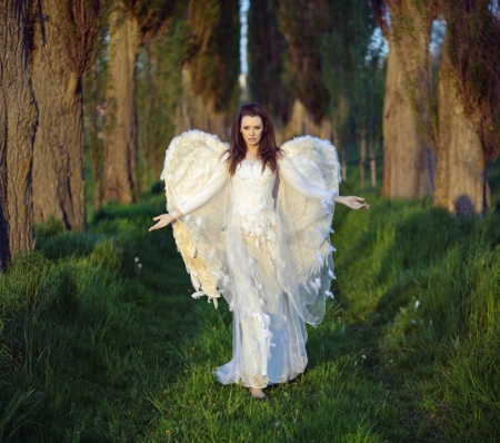 Angel - angel, forest, lady, wings