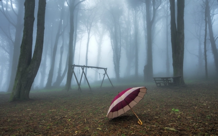 Foggy morning - fog, nature, trees, umbrella