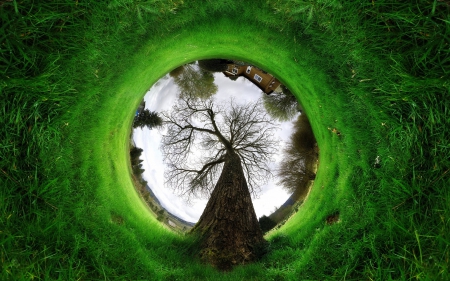 The world - house, world, green, grass, creative, tree, sky