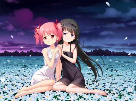 HomuMado - sundress, anime girl, field, black hair, petals, kaname madoka, adorable, long hair, floral, beautiful, kaname, sweet, madoka, dress, beauty, mahou shoujo madoka magica, nic, madoka kaname, female, e pretty, anime, cute, scene, homura, girl, pink hair, night, gown, lovely, flower field, hd, kawaii, blossom, akemi, flower