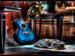 cat sleeping next to a blue guitar hdr