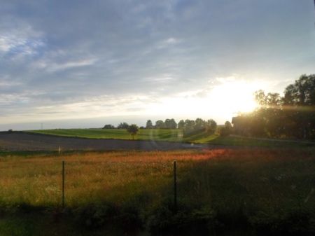 ... - clouds, green, sun, sky