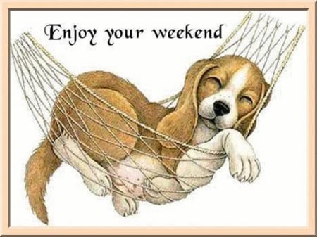 Enjoy Your Weekend - Dog, Animal, Pet, Weekend