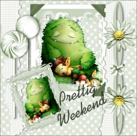 Pretty Weekend - weekend, pet, relax, flower