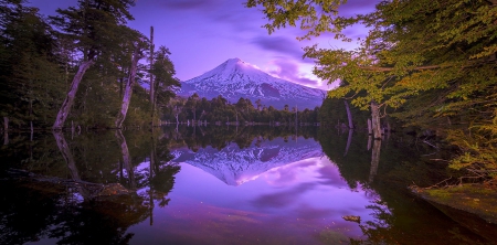 Sunset Over Snowy Volcano - lake, trees, mountain, chile, crystal water, sunset, volcano, calm, reflection, forest, beautiful