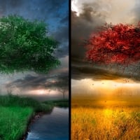 Four Seasons