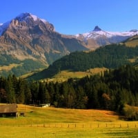 Alpine Landscape