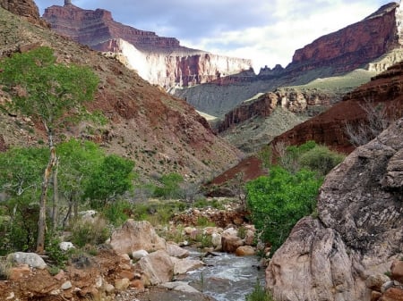 GRAND CANYON - MOUNTAINS, CANYON, TREE, CREEK