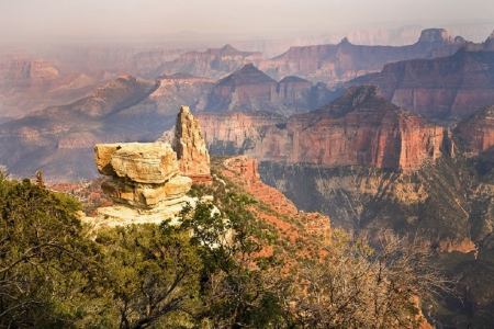 GRAND CANYON - trees, nature, mountain, canyon