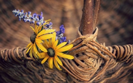 Flowers - basket, flowers, background, still life