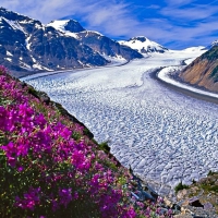 Salmon Glacier, BC, Canada
