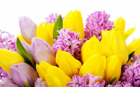 * Spring bouquet * - flowers, spring, flower, nature