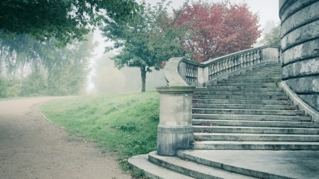 Stairs - trees, stairs, fog, road, tree