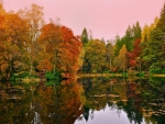 forest lake in autumn